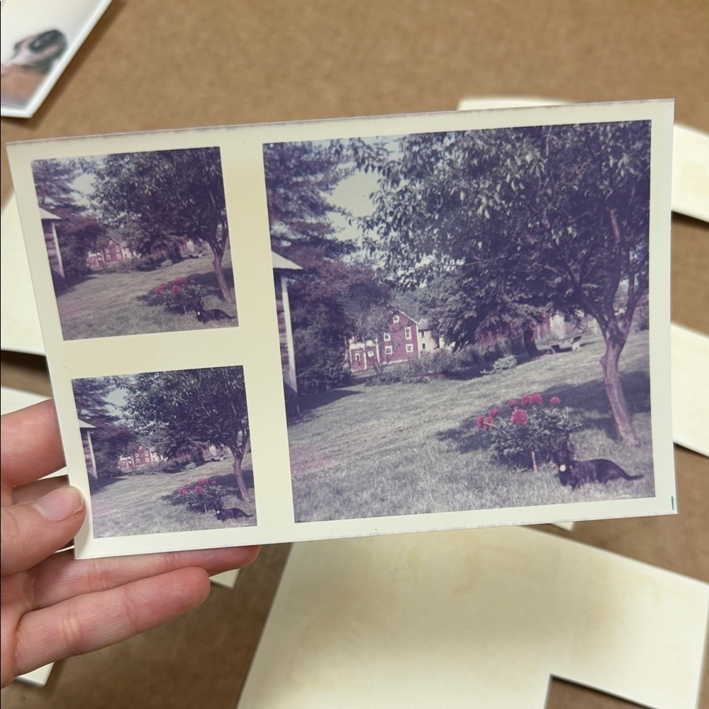 Vintage Photo Collection - Picture 7 of 11